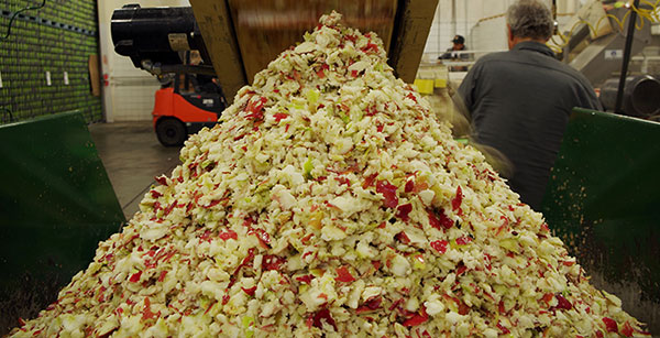 蘋果渣烘干機(jī)處理前 蘋果渣烘干機(jī)處理前